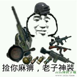 在下幻影坦克好玩表情包在下幻影坦克表情包无水印版jz5u绿色下载站
