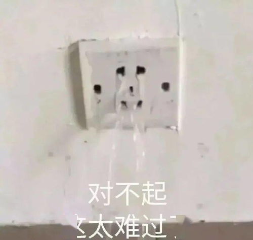 沙雕表情包上半年的单身生活结束了
