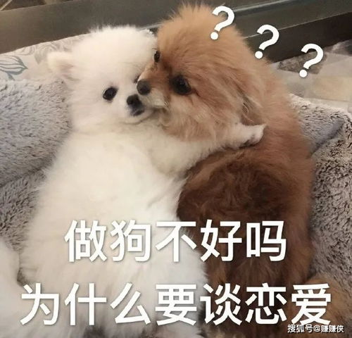 搞笑表情包图片笑的味道,你值得知道