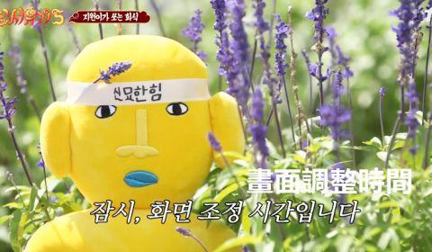 各位有多少新西游记5表情包我奉上一波