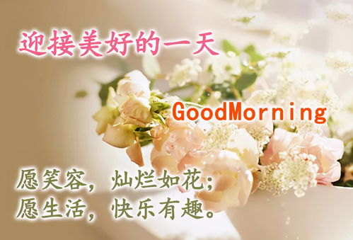 最美的早安祝福动态表情图片新的一天早安朋友圈简短祝福语
