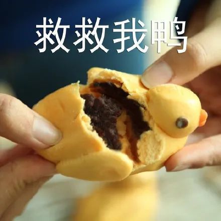 表情包一弹组鸭鸭表情包哦