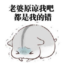 向老婆道歉认错表情包