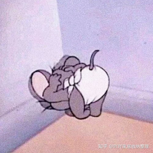 猫和老鼠情侣头像卡通动漫情侣头像