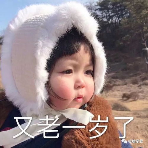 又老了一岁的搞笑表情日和