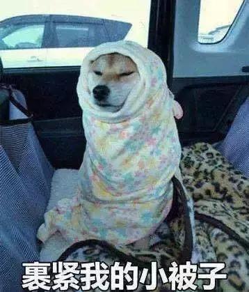 被打表情包受伤搞笑图片寒潮