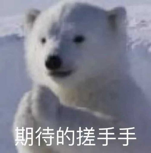 搞笑表情包图片睁开你的小眼睛,看清楚