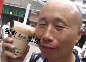 现在到底什么最火魔都的奶茶换届频率堪比娱乐圈不知道喝哪杯的看这里