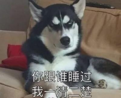 男友不信狗狗只和女生玩,于是他穿了裙子喷了香水去试了一下