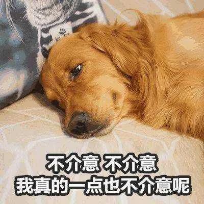 最强沙尘暴,望鄂兴叹