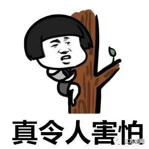 110吗我被我家牛怼到树上3小时了它疯啦一直盯着我