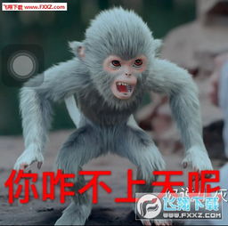 诛仙青云志猴子小灰表情包