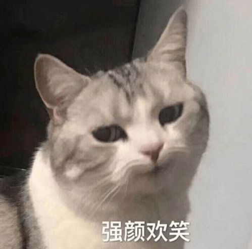 冷空气新台风连州气温降到1字头剩下的假期,天气将......
