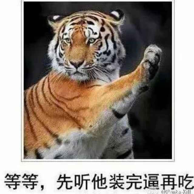 004玛雅人是金星人