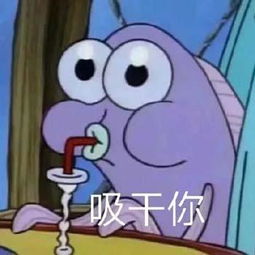 表情包新晋不知名熬夜冠军