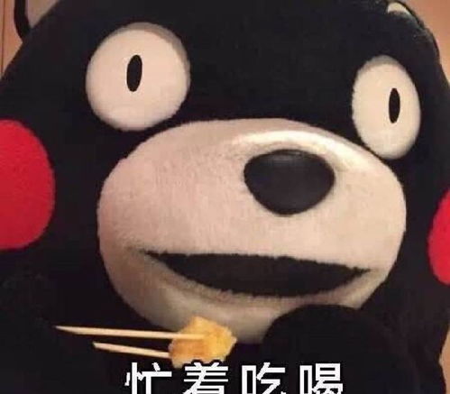 熊本熊搞笑萌呆表情包一句晚安,然后各自熬夜