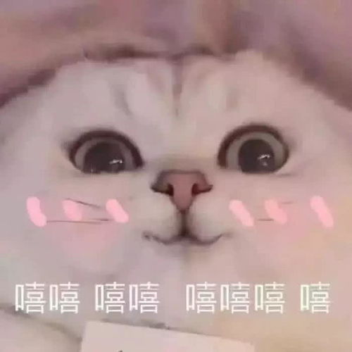 嘻嘻的表情包搞笑正经点
