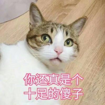 幽默笑话昨晚请女同事吃饭,菜端上来她没吃两口