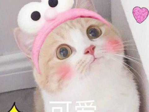 幽默笑话第一次带闺蜜见男友,意外就这样发生了段子