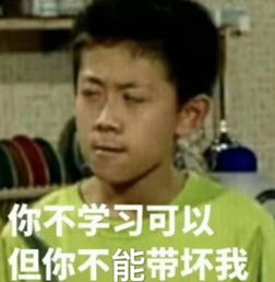 e句话看天下李湘发飙了,王岳伦还好吗