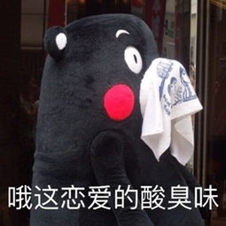 熊本熊日常聊天表情包下载熊本熊日常实用表情包下载极速下载