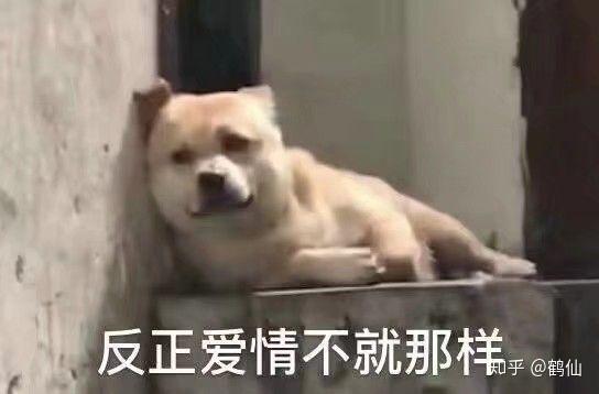 男友把他的自拍作为他的朋友圈封面是什么意思那种黑白耍帅的那种