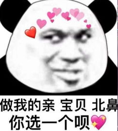 搞笑熊猫头斗图表情包啥也别说了,快乐最重要