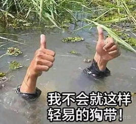 如何理解意大利谚语看一眼那不勒斯,然后死去