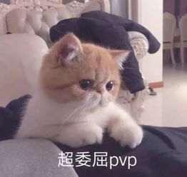 喜欢大海的阚清子开启30岁新人生,她的驻颜术了解一下