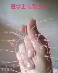 各个专业的专属表情包