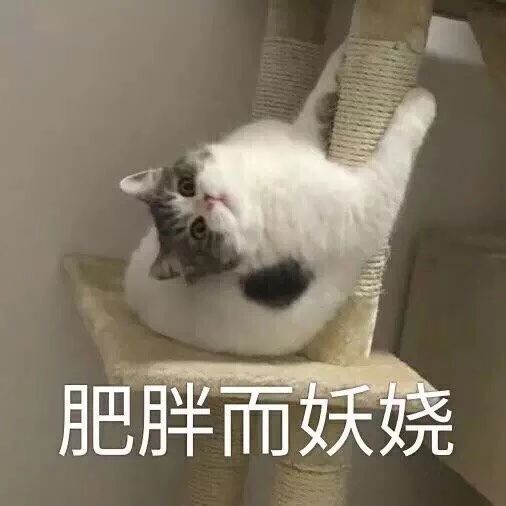 最新热门可爱搞笑表情包图片新的一天,冲鸭,怪不好意思的