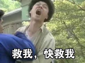 王者荣耀斗图表情包第172期你为什么不团辅助快奶我