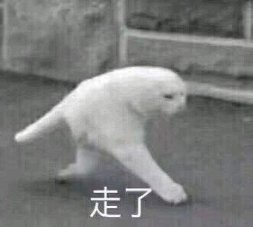 谁有这个表情之类的聊天搞笑图聊天表情