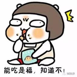 有内涵的荷兰猪猪粮,那些你不知道的成分功效