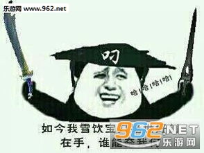 本宝宝笑傲全场表情包我笑而不语表情包下载乐游网游戏下载