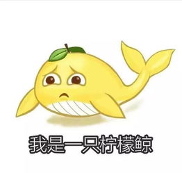 搞笑表情包知道在学校为什么这么困吗