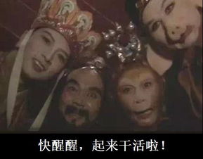 滴你的暑期余额可以在这里充值