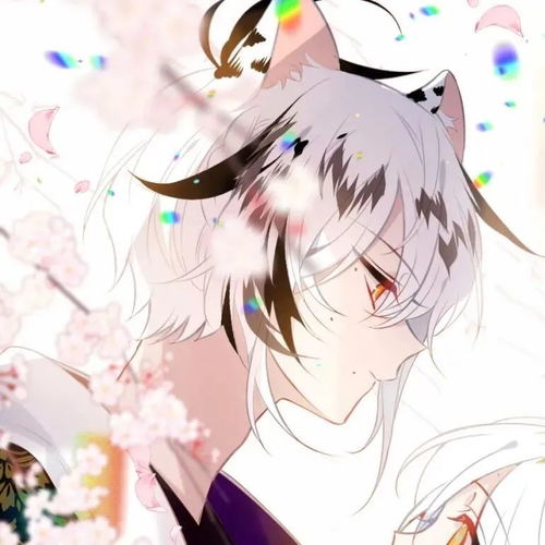 动漫男头我的周末从中午开始