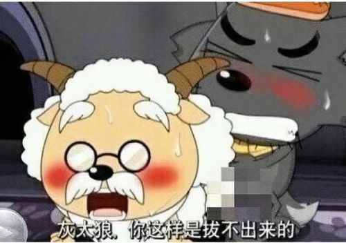 轻松一刻我把家乡当根,家乡把我当祸根