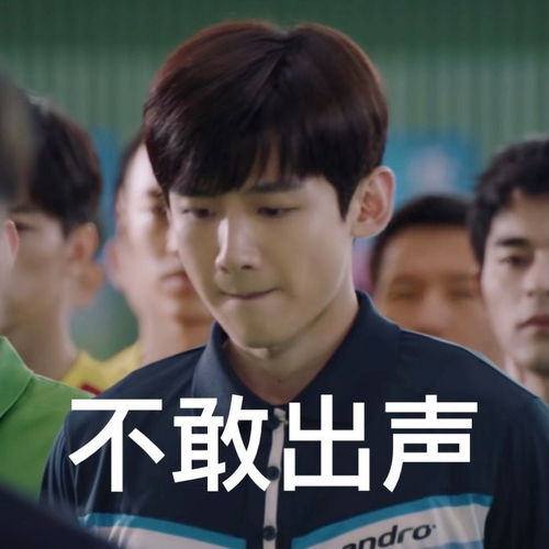 白敬亭的沙雕表情包