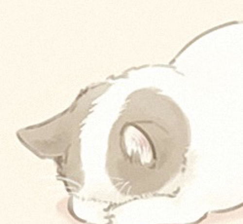 猫咪头像,喜欢喵星人的朋友在哪里