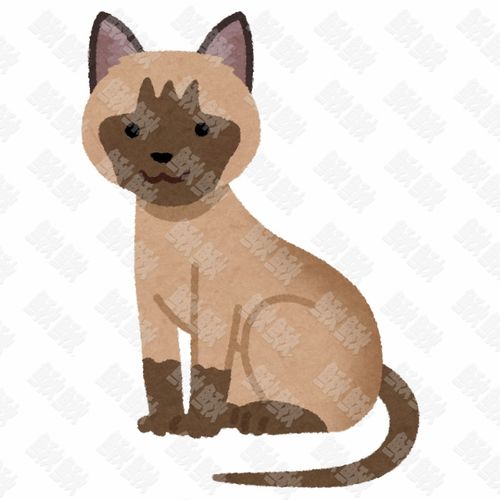 猫的卡通图片头像猫咪