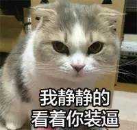 你既压我又睡我却不给钱
