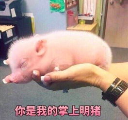 这年头,没点才艺都不敢当爹了爸爸