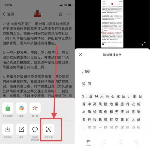 android8.0微信表情,微信8.0版本重大更新emoji表情包动态化,安卓版也可以下载了...