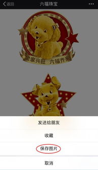 1f六福珠宝新年,比起抢红包,斗胜表情包才是王道