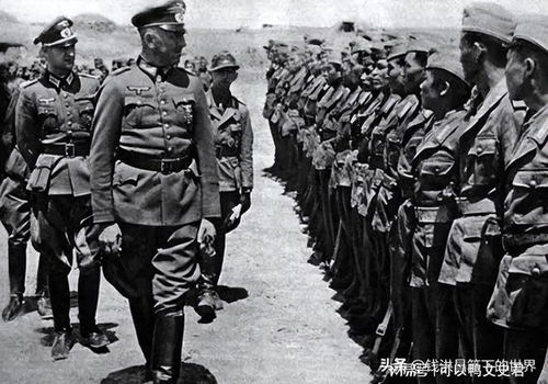 二战德军搞笑表情包圣马力诺