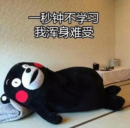 暑假余额不足,泰达的娃还不免费享博物馆之旅报名