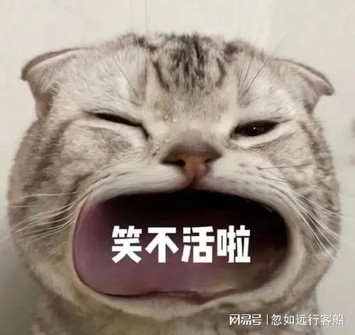 每天讲点小笑话,逗大家一乐