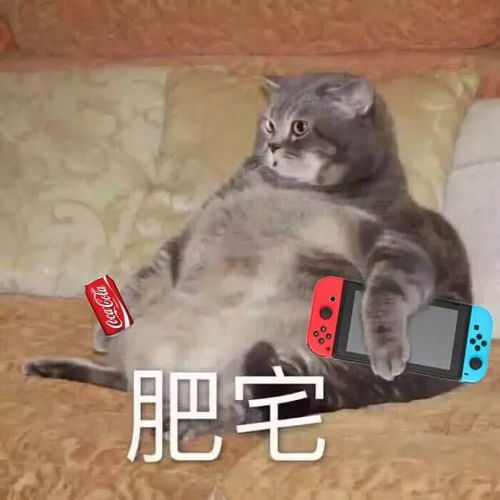 沙雕表情包我急了